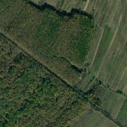 Scoarţa map(satellite map)
