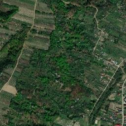 Boţeşti map(satellite map)