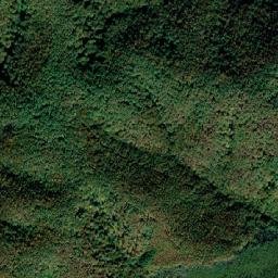 Oraş Baia De Aramã map(satellite map)