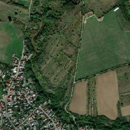 Pleașa map(satellite map)