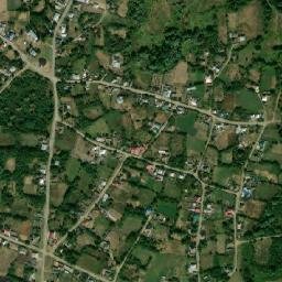 Shovgenovskiy map(satellite map)