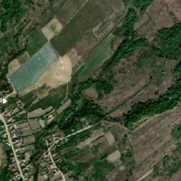 Copăceni map(satellite map)