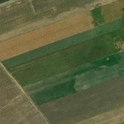 Shovgenovskiy Rayon map(satellite map)