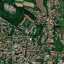 Trofarello map(satellite map)