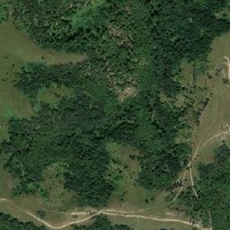 Comuna Lăpuşnicel map(satellite map)