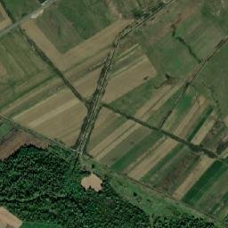 Comuna Teleşti map(satellite map)