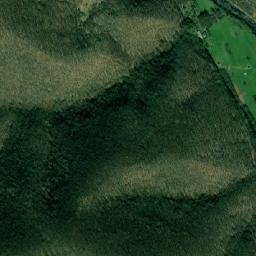 Comuna Bozovici map(satellite map)