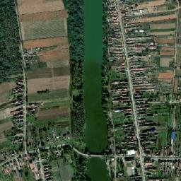 Višnjićevo map(satellite map)