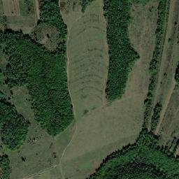 Dăneşti map(satellite map)