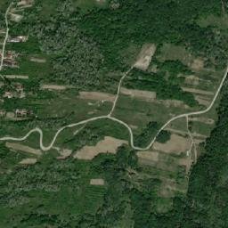 Bustuchin map(satellite map)