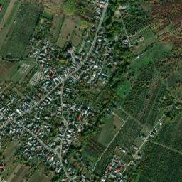 Viforâta map(satellite map)