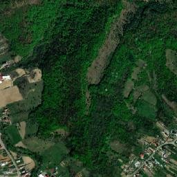 Miceşti map(satellite map)