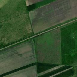 Tomşani map(satellite map)