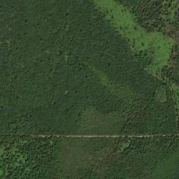 Satellite view of Pine Hills Golf Club