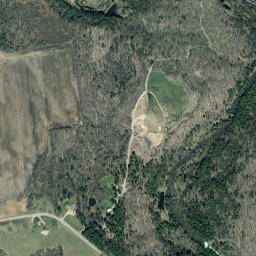 Brayton Hollow New York High Resolution Satellite Map