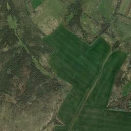 Ciuchici map(satellite map)