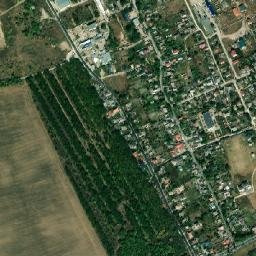 Dubki map(satellite map)