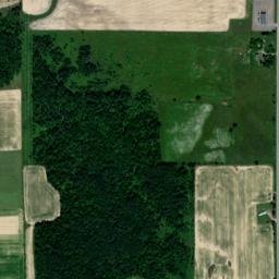 County Road O, Withee, WI 54498, USA High Resolution Satellite Map