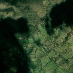 Lăpuşnicu Mare map(satellite map)