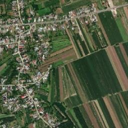 Dărmăneşti map(satellite map)