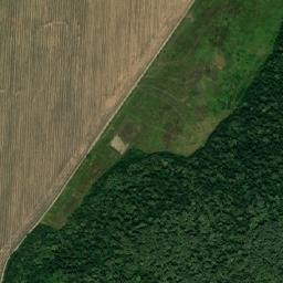 Teuchezhskiy Rayon map(satellite map)