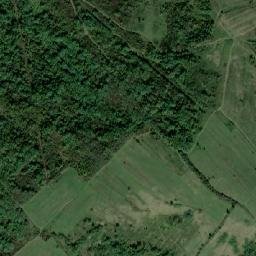 Comuna Sasca Montană map(satellite map)