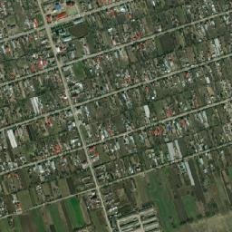 Comuna Florica map(satellite map)