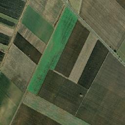 Oraş Pogoanele map(satellite map)