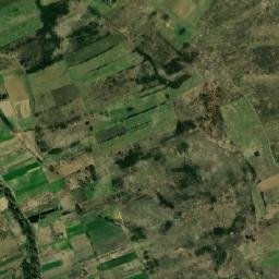 Bănia map(satellite map)