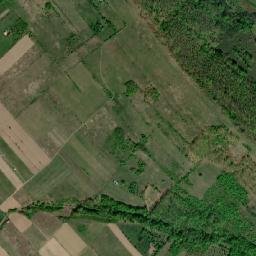 Eftimie Murgu map(satellite map)