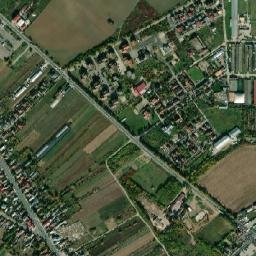 Ulmi map(satellite map)