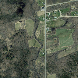 Forest New York High Resolution Satellite Map