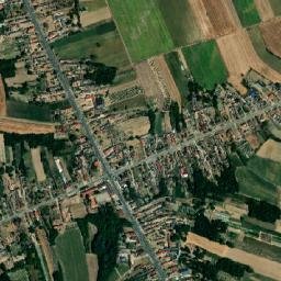 Glušci map(satellite map)