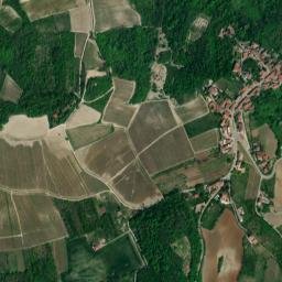 Monleale map(satellite map)