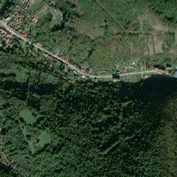 Sasca Montană map(satellite map)