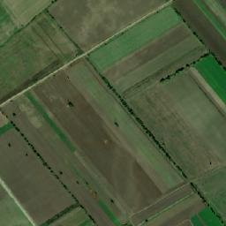 Dumbrava map(satellite map)