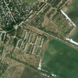 Zalesye map(satellite map)