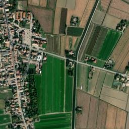 Bosco Mesola map(satellite map)