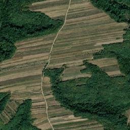 Comuna Bogaţi map(satellite map)