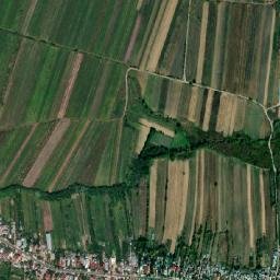 Comuna Comişani map(satellite map)