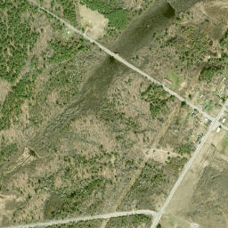 Brasher Center New York High Resolution Satellite Map