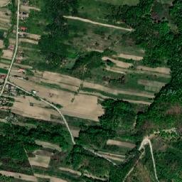 Piscoiu map(satellite map)