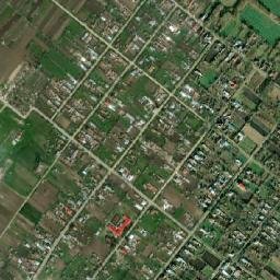 Scutelnici map(satellite map)