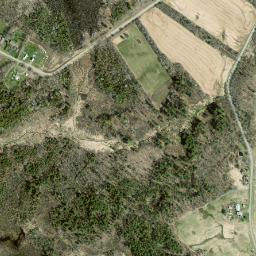 Dalton Crossing New York High Resolution Satellite Map