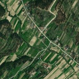 Negomir map(satellite map)