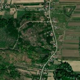 Livezi map(satellite map)