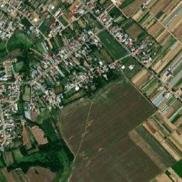 Racovița map(satellite map)