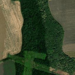 Giaginskiy Rayon map(satellite map)