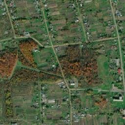 Chkalovskoye map(satellite map)