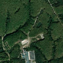 Comuna Moşoaia map(satellite map)